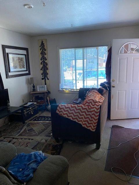 561201960_411e0aff-644d-48c2-aaf7-58e6bd96bab0.jpg