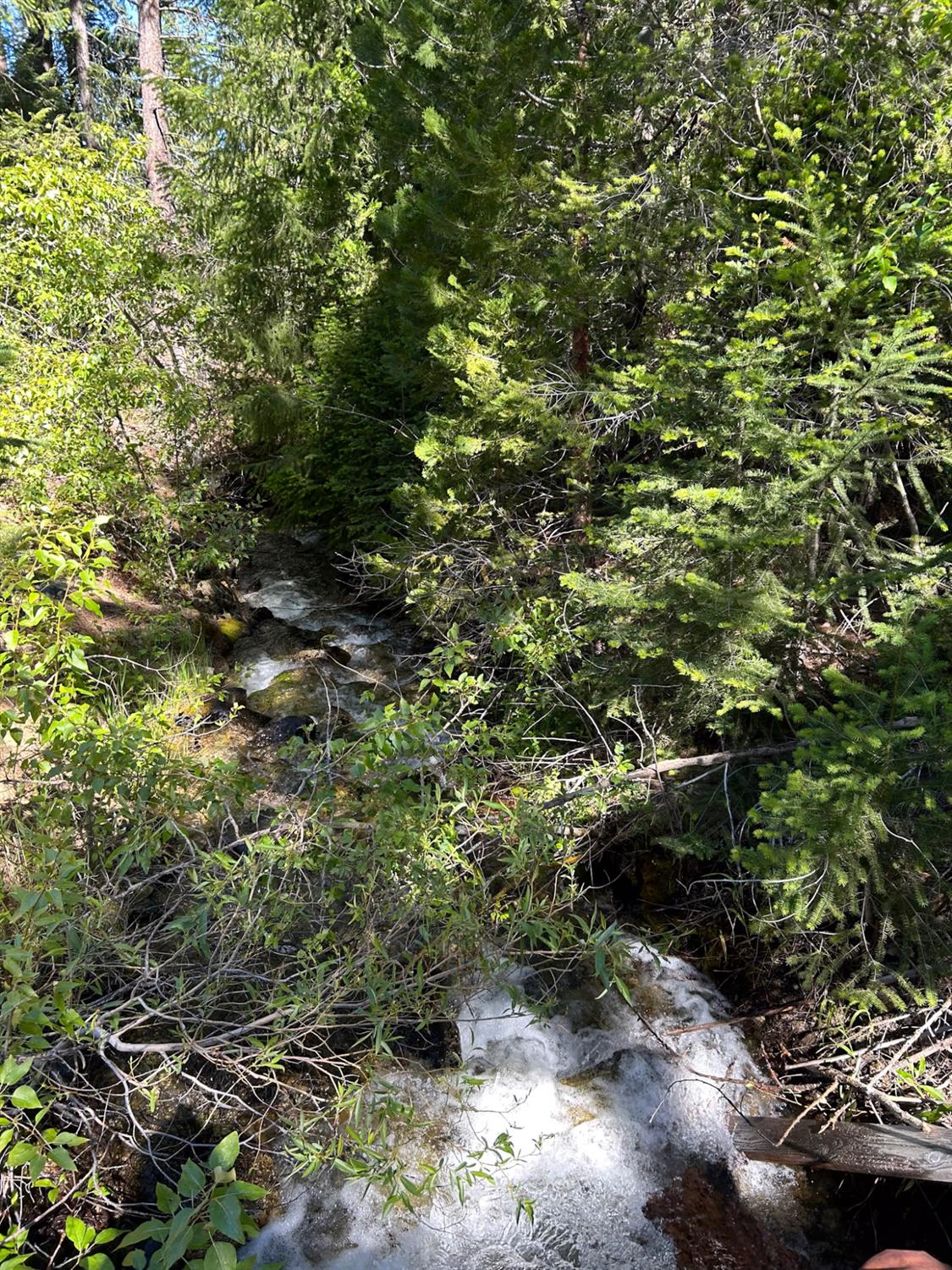 561202460_090469d9-7c60-4342-9b8e-bad89c815242.jpg