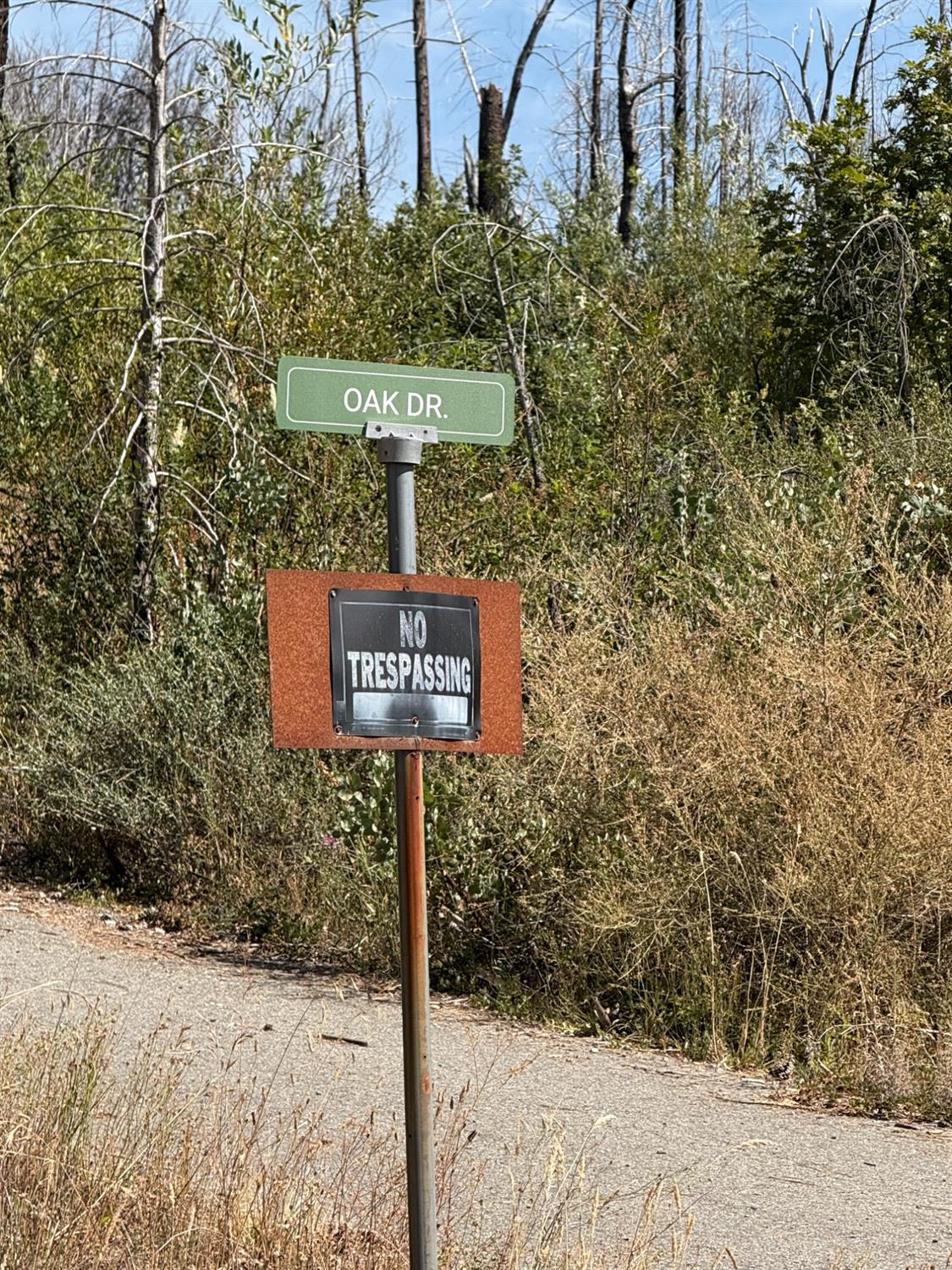 561208857_2b338ab6-bde6-45e4-babd-8cdd9a236d63.jpg