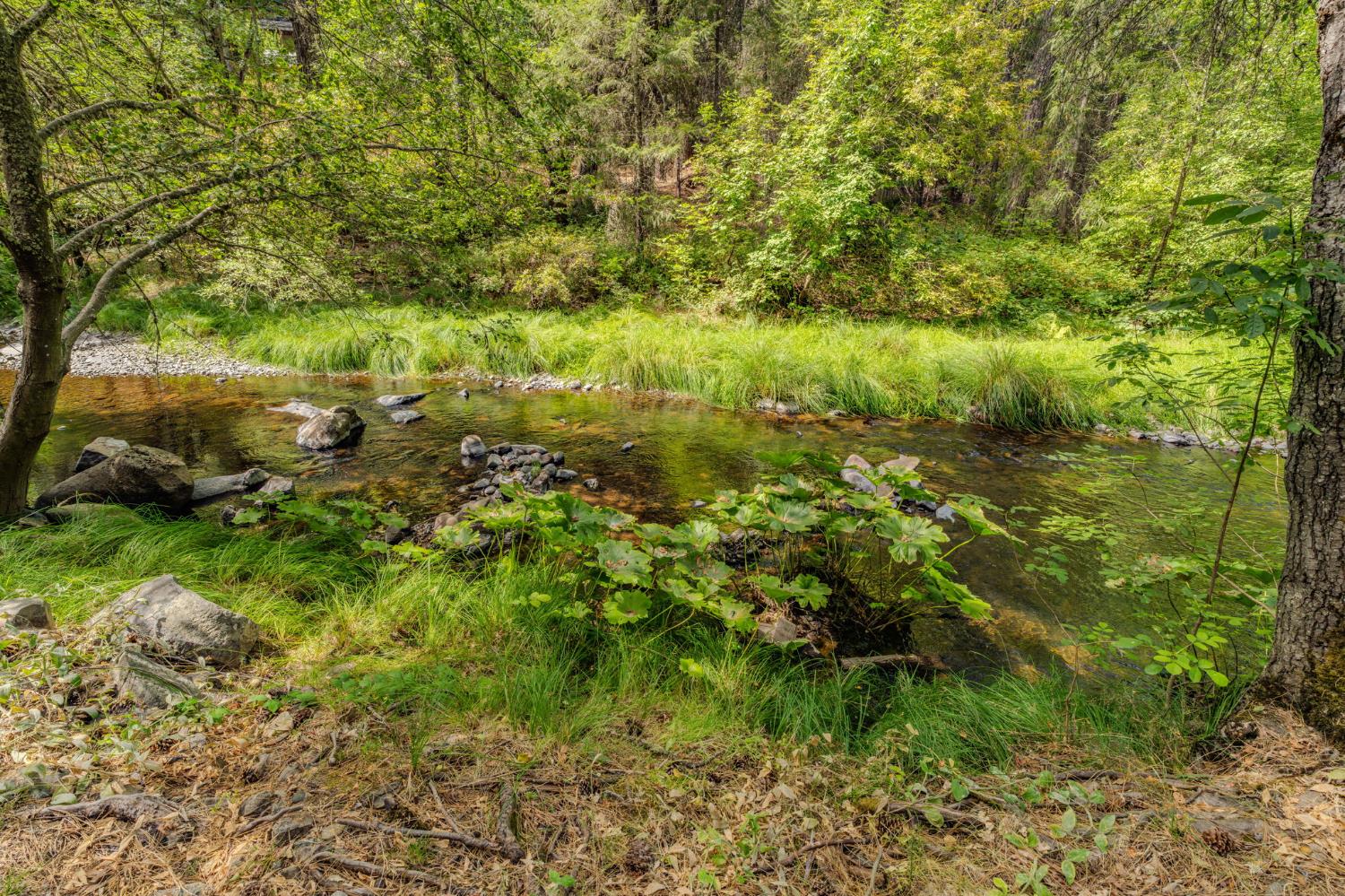 561208668_a6bdbfee-d485-45e8-975c-b47946881815.jpg