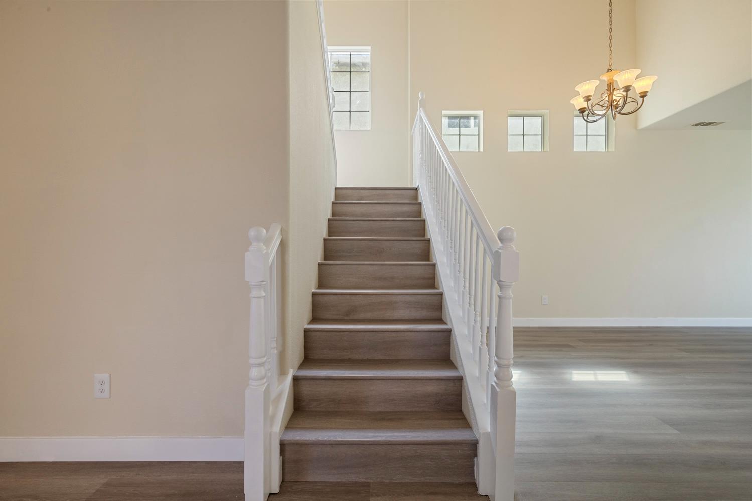 561209530_73422be3-1117-4334-b625-60601a431c87.jpg