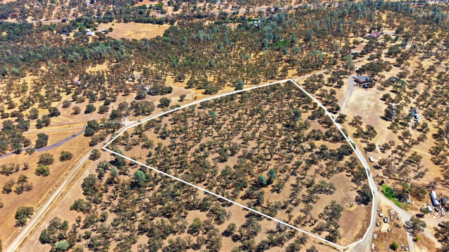 561209195_cf54dea2-2942-4d91-9f9c-fa5bf0afb27b.jpg