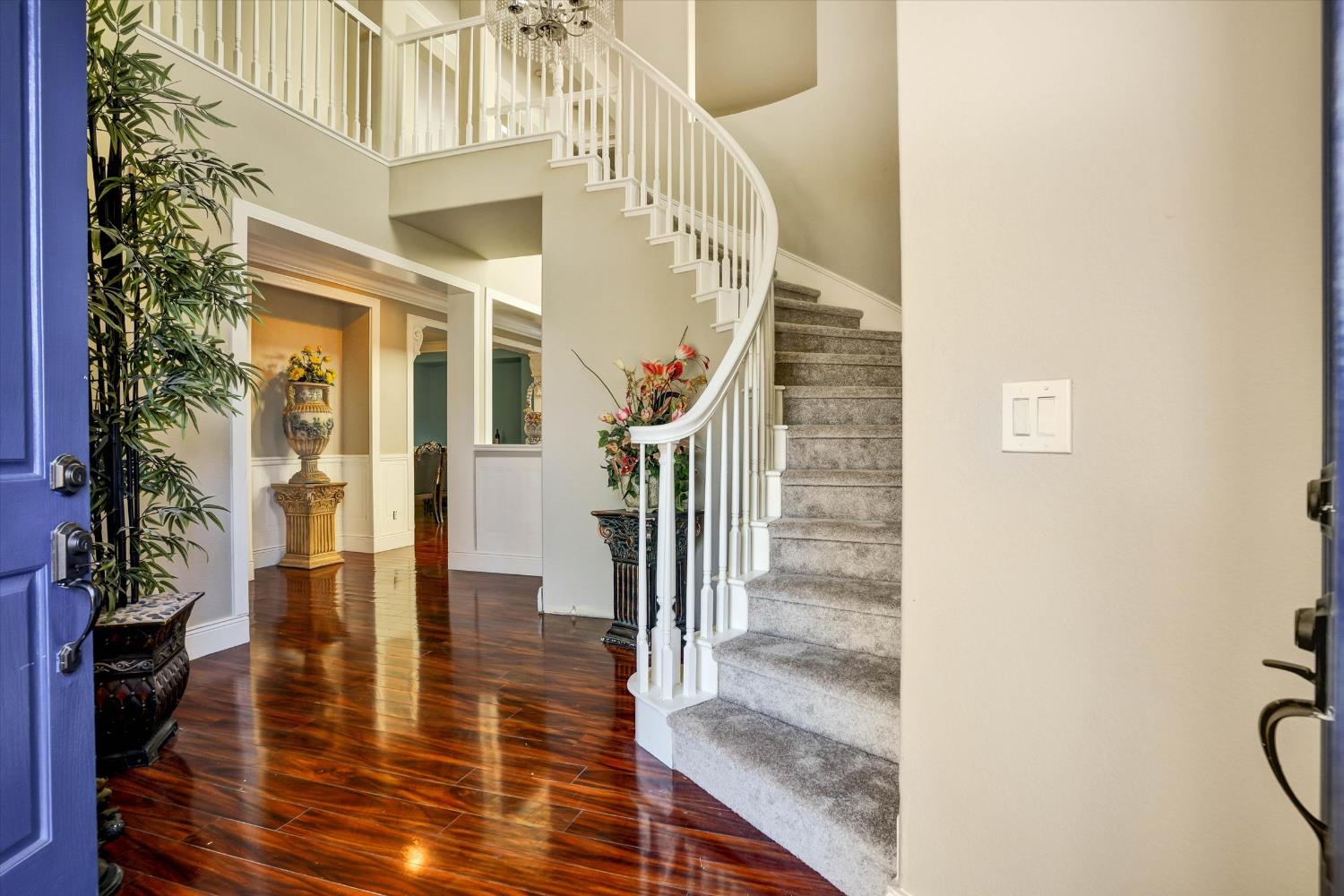 3837 Banyan Tree