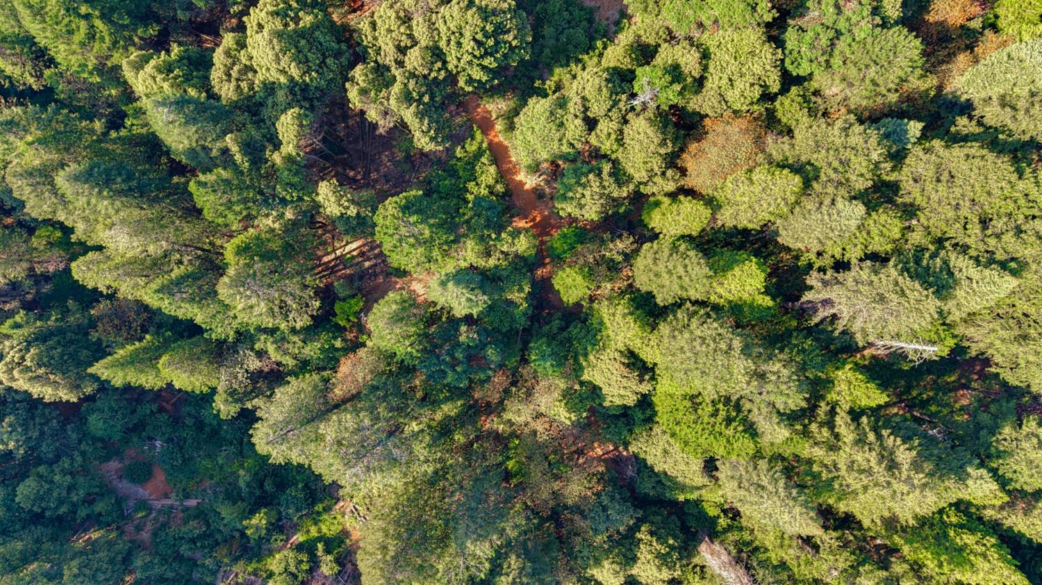 561208552_16064ac6-c674-4606-9745-2111c0d01c5a.jpg