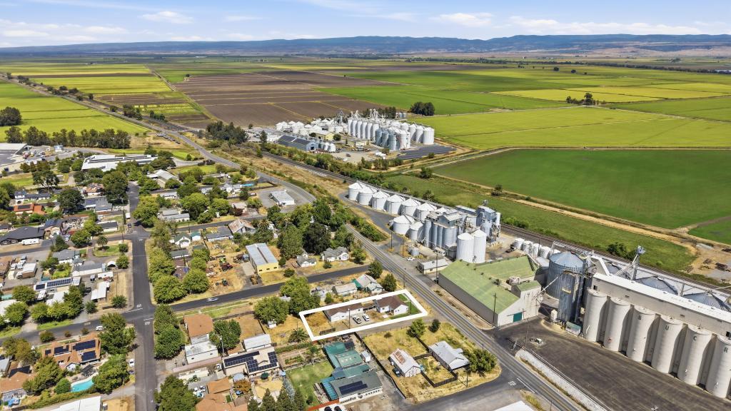 561221866_3d62b2e7-85ec-48b1-a4bf-40775ce89ab7.jpg