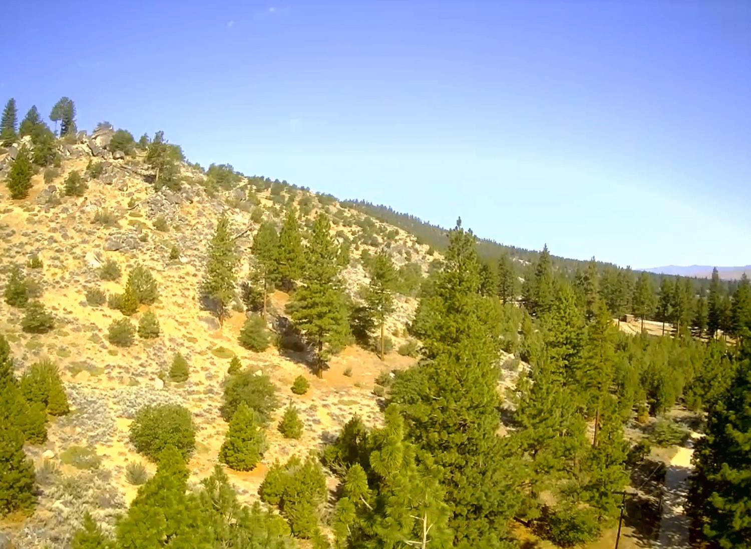 561223856_3b0af31b-e087-4cc5-a58c-90ff7090cf3f.jpg
