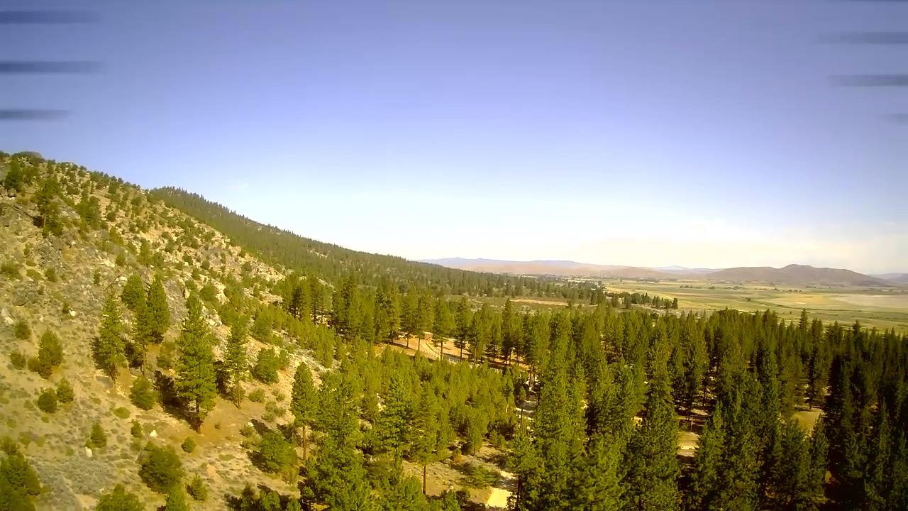 561223856_bae16944-f24d-4324-b407-d9c864eeb184.jpg