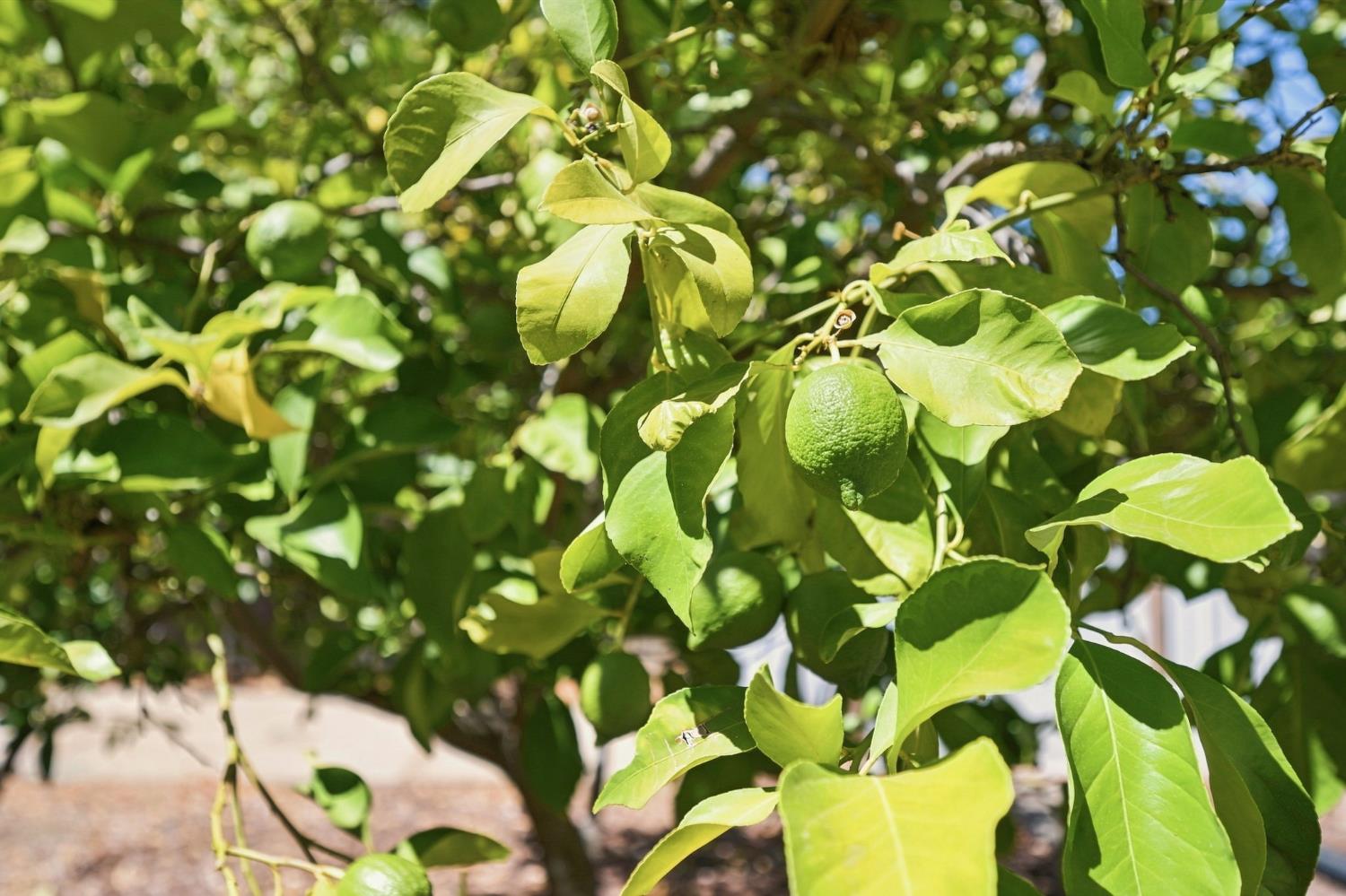 561223741_6bd1f03c-3bdc-4f7a-a764-1d0694c78eea.jpg