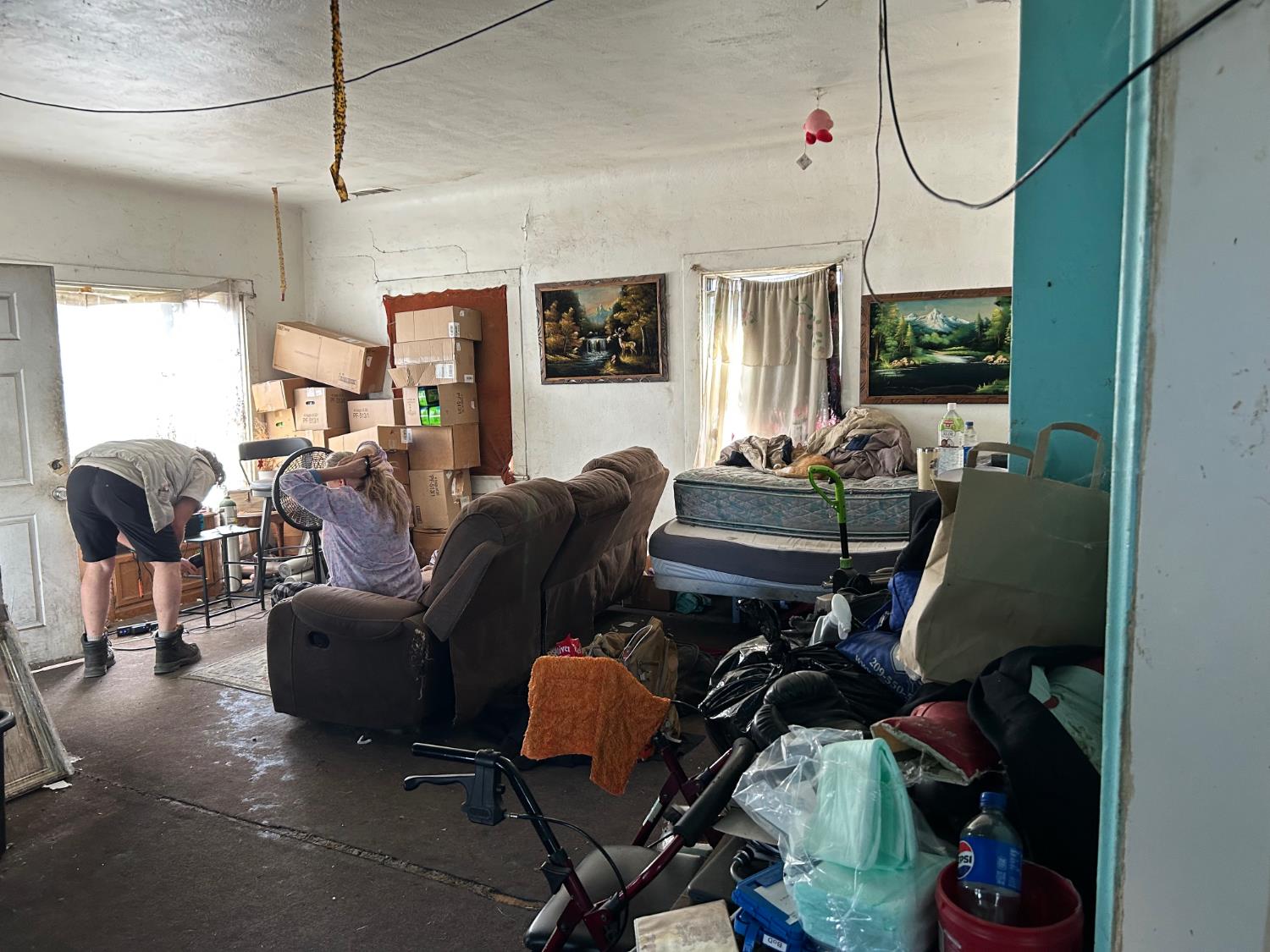 561223917_70b1ccbb-d478-46da-90b2-7c20e8a69f8f.jpg