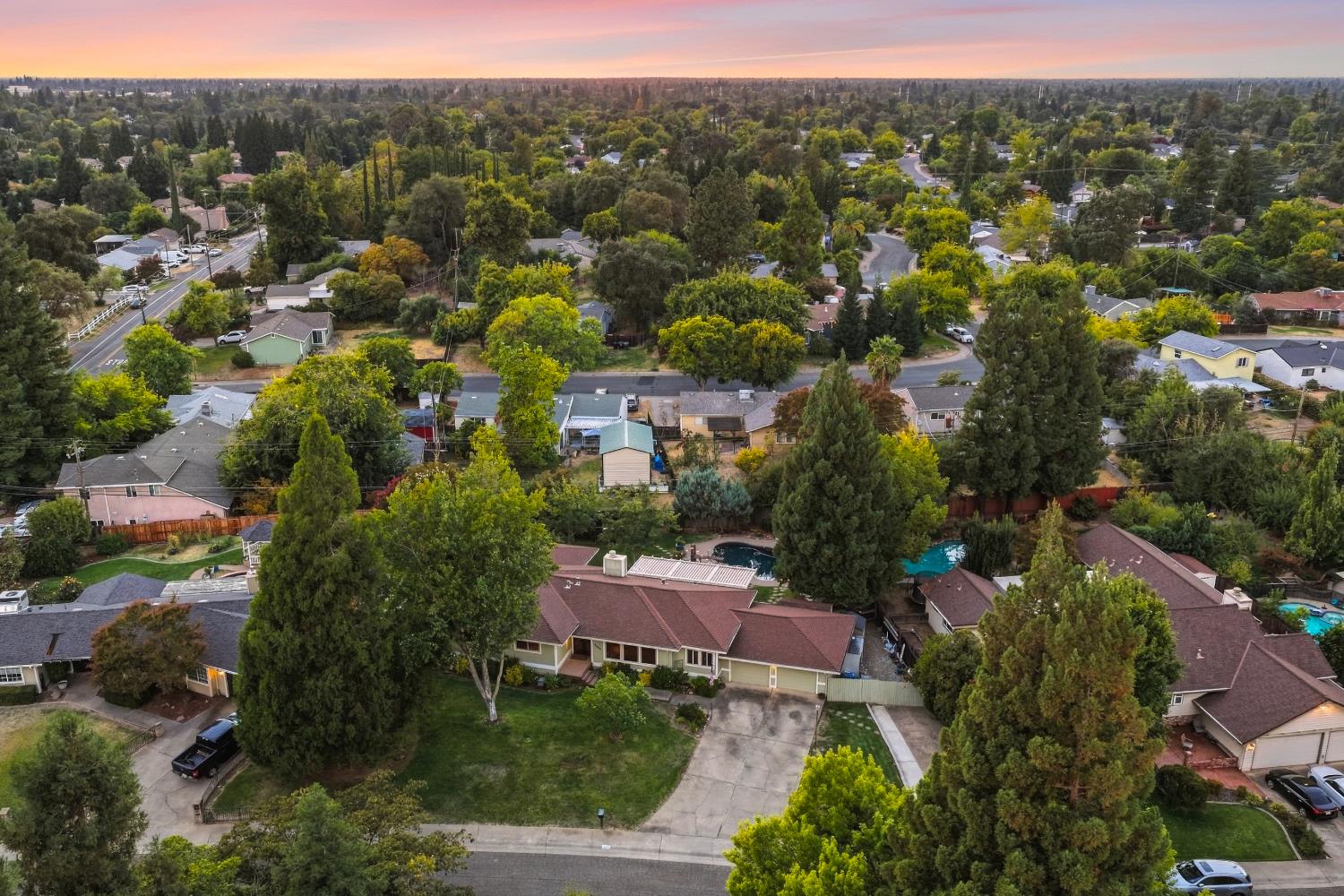 561224286_90426f69-85cb-44e6-bea8-d55dd4154518.jpg