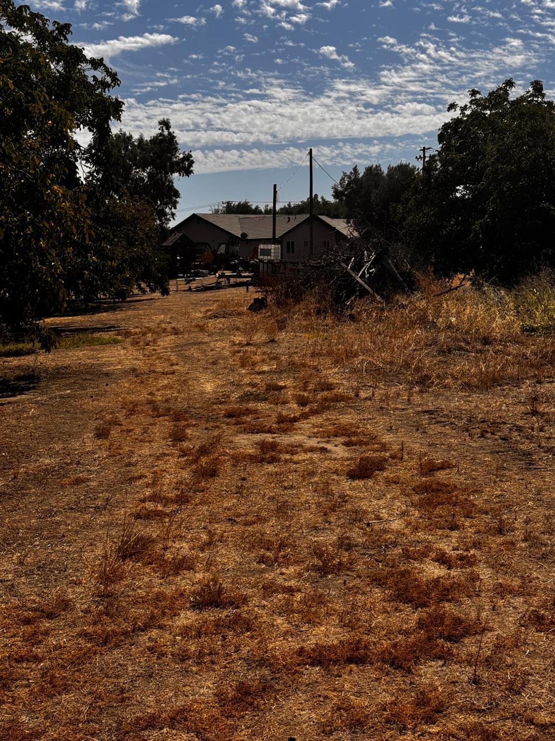 560922791_c9be843a-a3e7-47dd-8fe2-ec696f9b5dbf.jpg