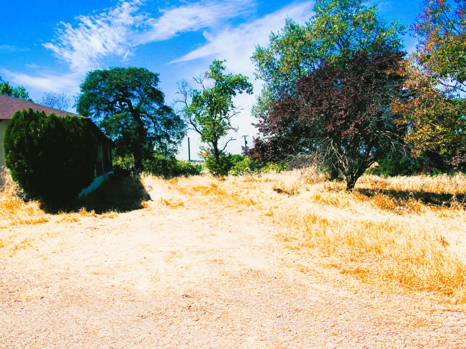 561225426_4c2c5605-5354-47c1-b2d8-b1e0f3d5a6ab.jpg