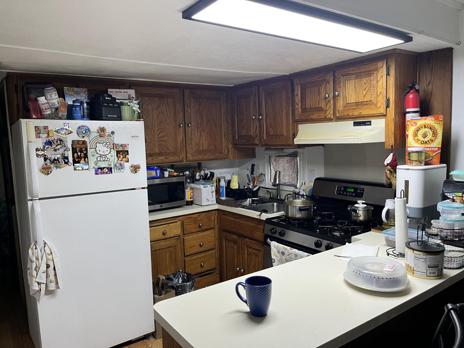 561224967_72760aa7-8ae0-4bb6-9eaa-54d9a1cafe8d.jpg