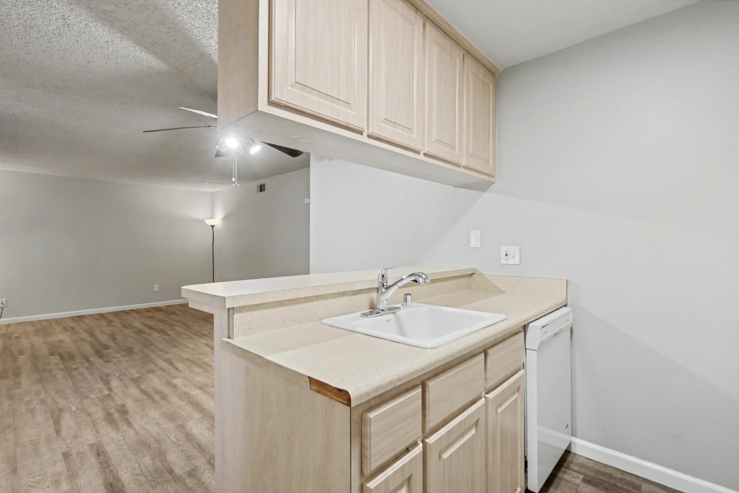 561224684_8643b0da-32a3-4bc4-8a9a-c346d54f5a9f.jpg