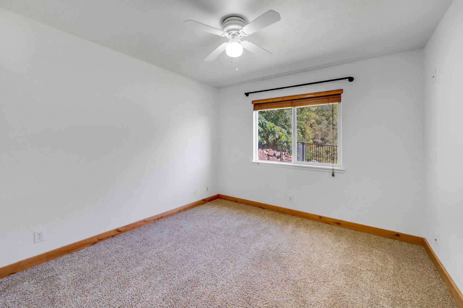 561224910_97d37fb0-247c-442d-bcb1-74973297cf42.jpg