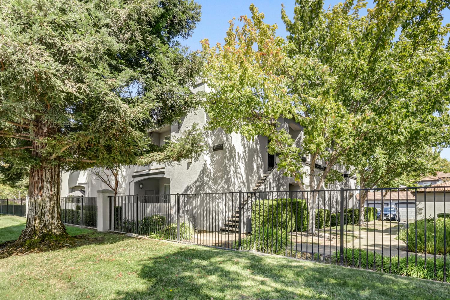 561225610_2810daf2-65ce-483a-b1c0-354e6ef18ea9.jpg