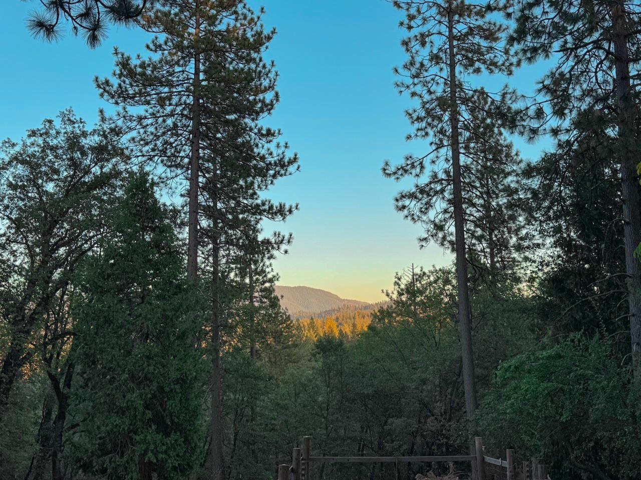 561225733_428904c9-65c8-412a-9008-ede1c40f91a6.jpg