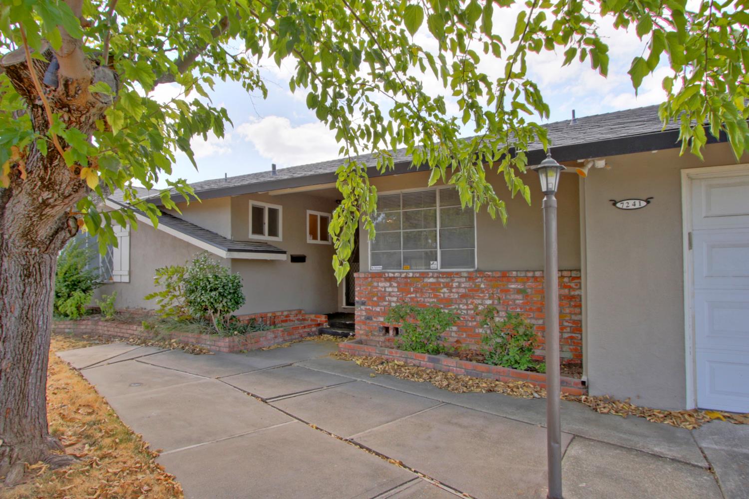 7241 Raintree Drive