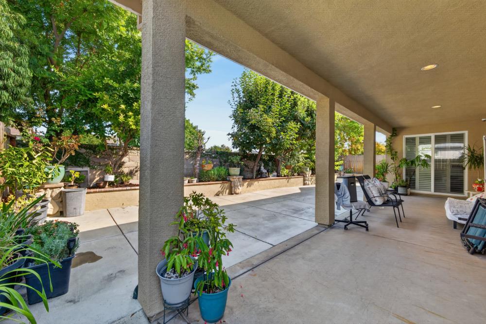 561227472_210a316b-9fec-4f0d-92d3-a373b88ad96e.jpg