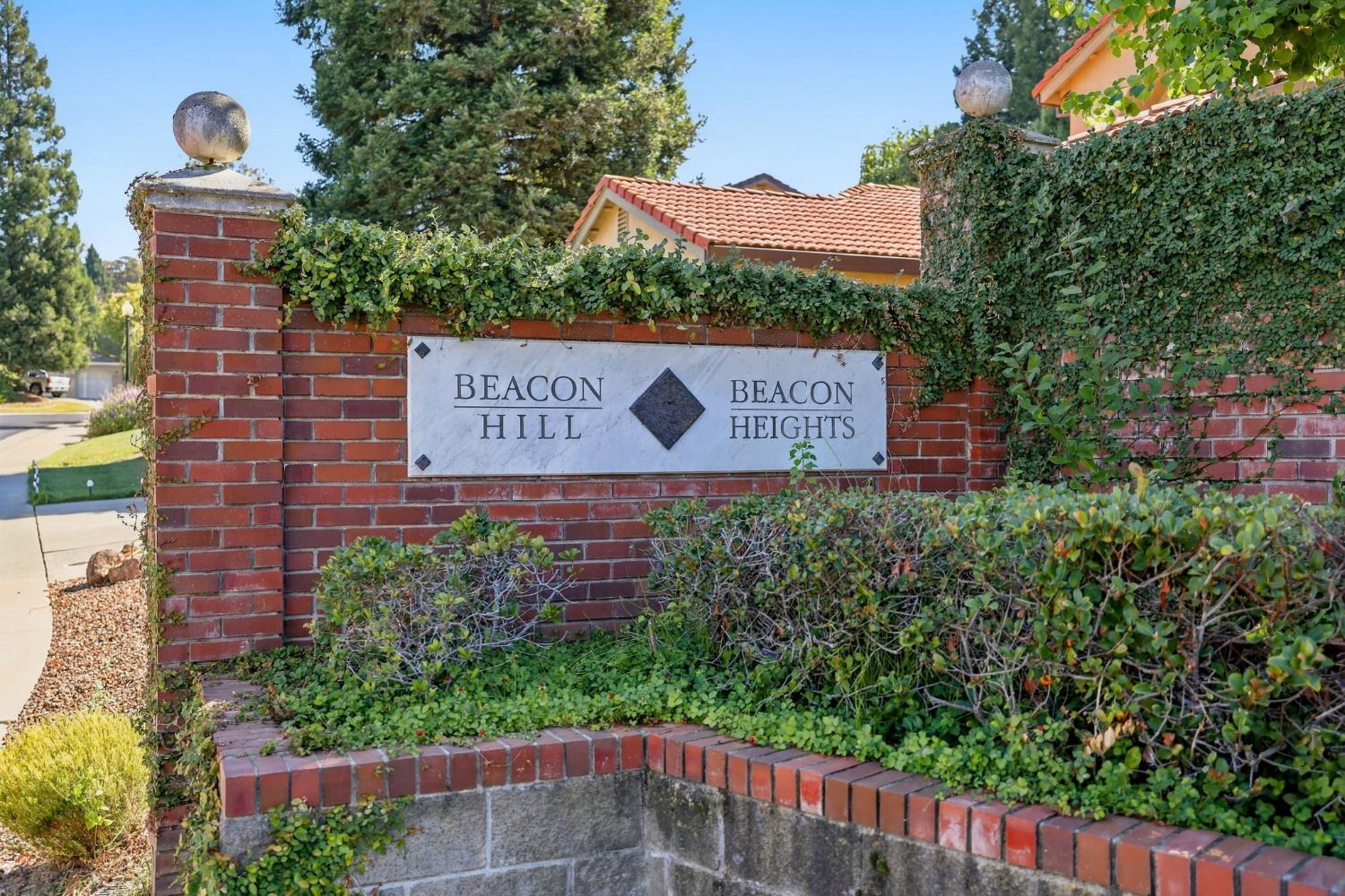 561229229_2a6a91c1-38eb-4b0d-ac6f-fb58452be22d.jpg