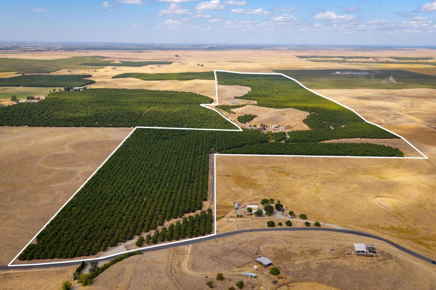 561230589_79906461-9e4d-4111-ae87-c562b5728981.jpg