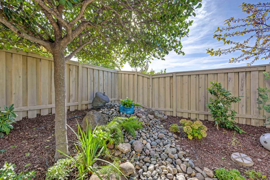 561229434_83188c69-f610-4b07-8989-6a231cc09225.jpg