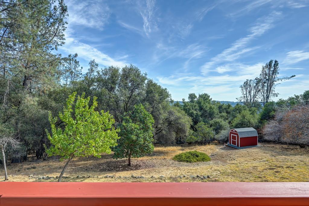561229177_77192653-d25f-4558-838b-af0d456ff67b.jpg
