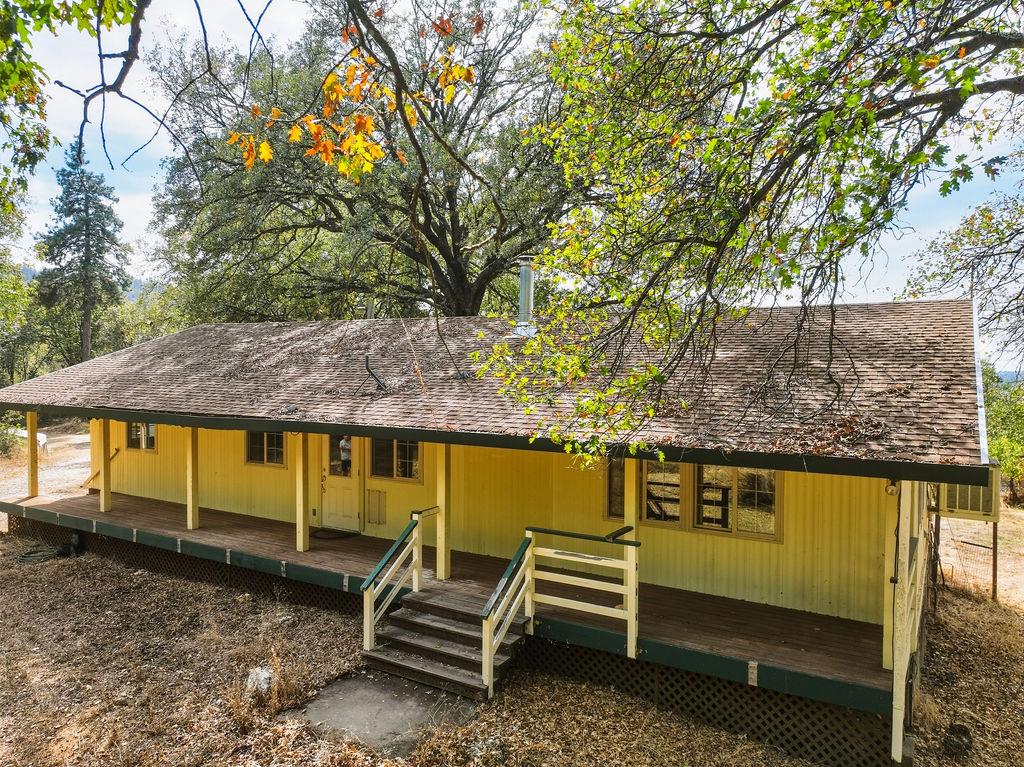 561229188_77d3f287-5bda-4619-918b-ddb130fbe751.jpg
