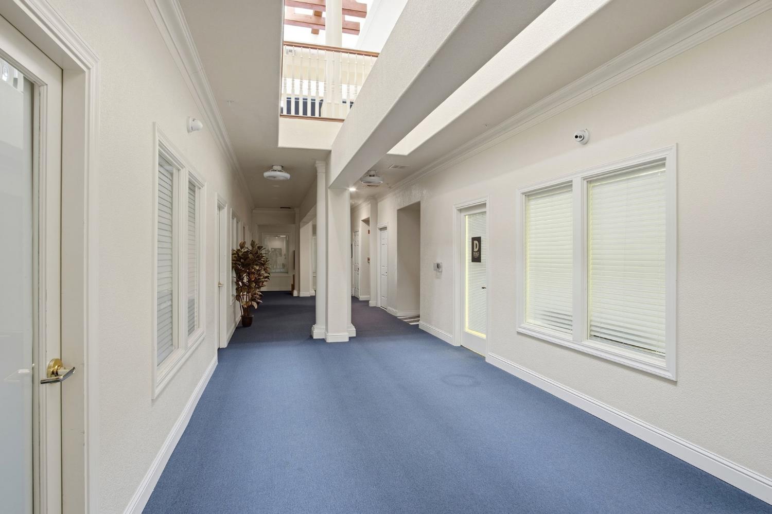 561230283_6d0fe013-4c39-4817-81f7-2ab91e5c9eb4.jpg