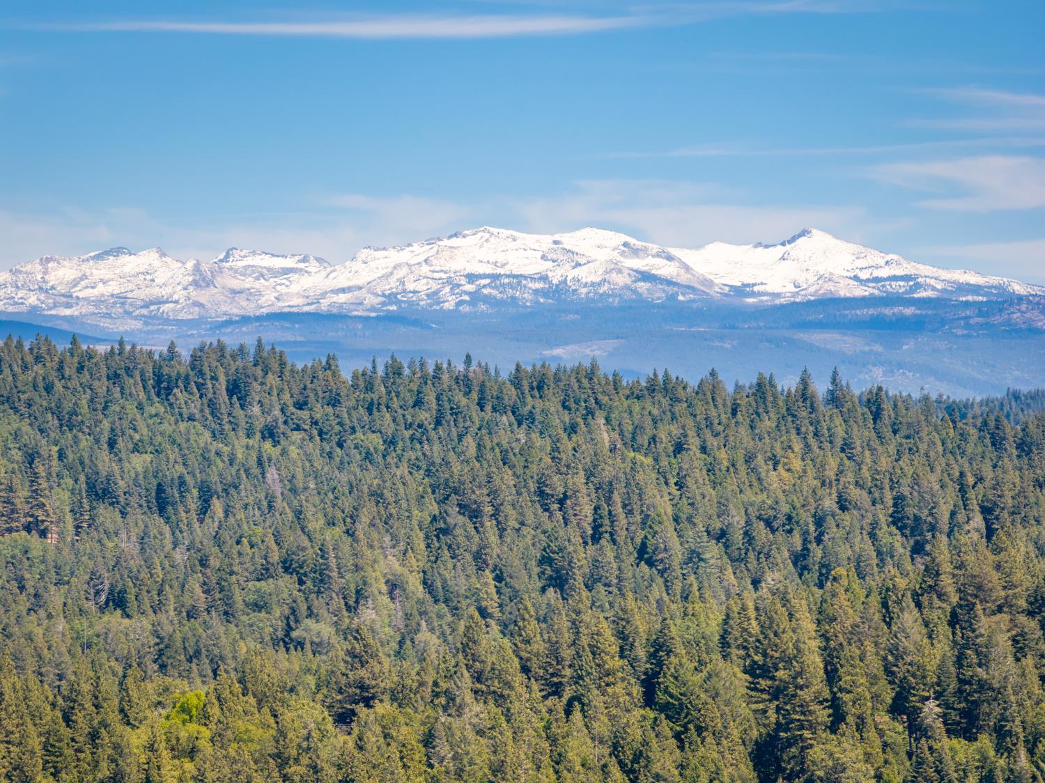 Starkes Grade Road, Pollock Pines CA 95726