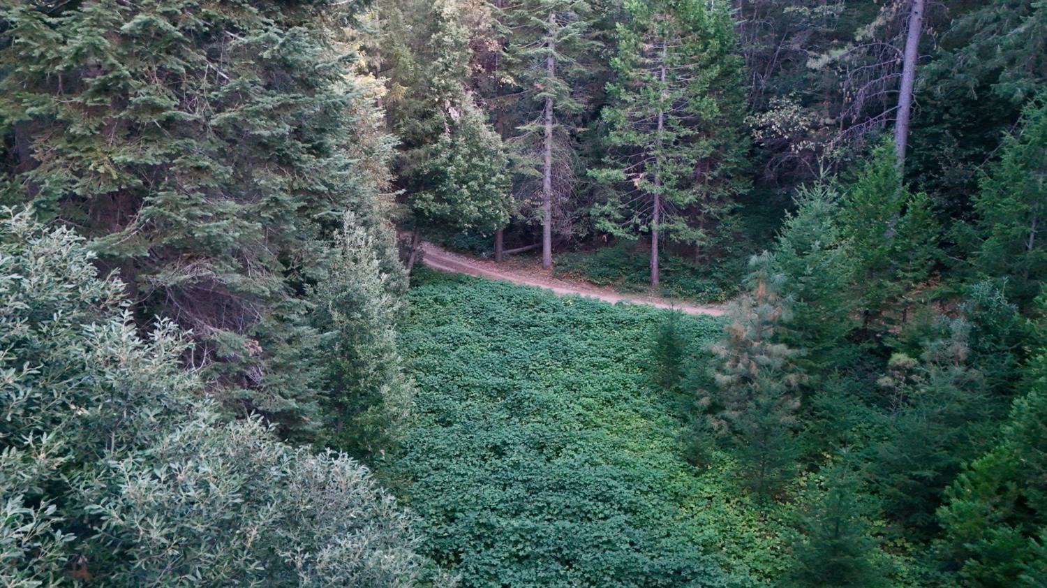 N Camptonville, Camptonville CA 95922