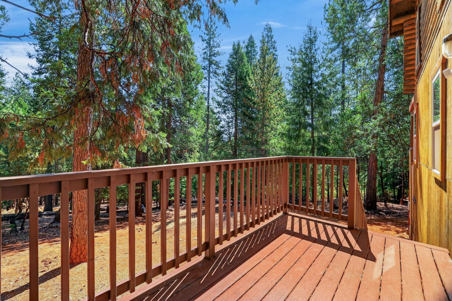561231810_3da938a0-ab19-4f5c-a2c7-c7e0703b6732.jpg