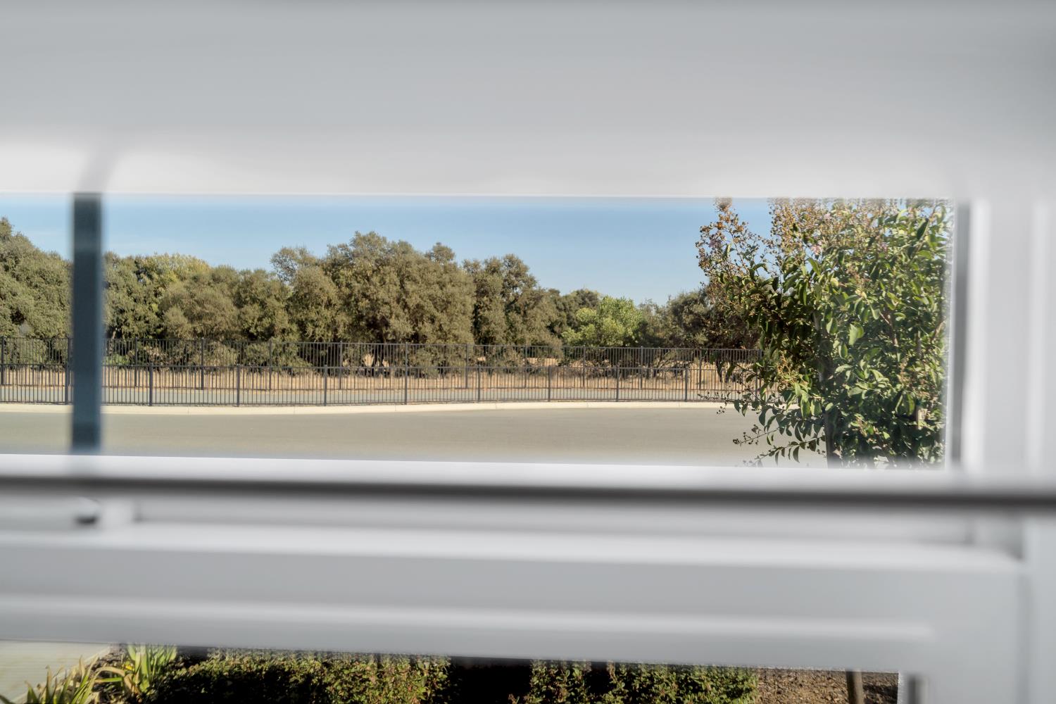 561230042_518e2c56-e5ae-474c-93d3-2ac85d9237d9.jpg