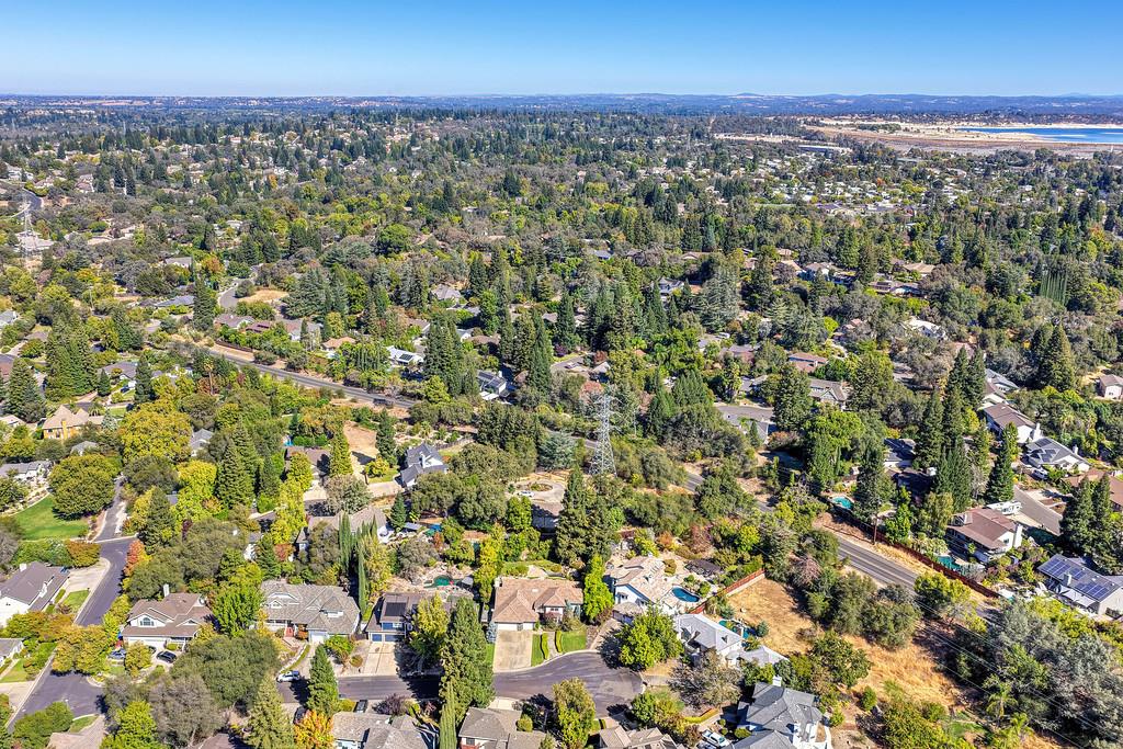561231240_152463fb-d53e-46b9-964c-284fb7b391a0.jpg