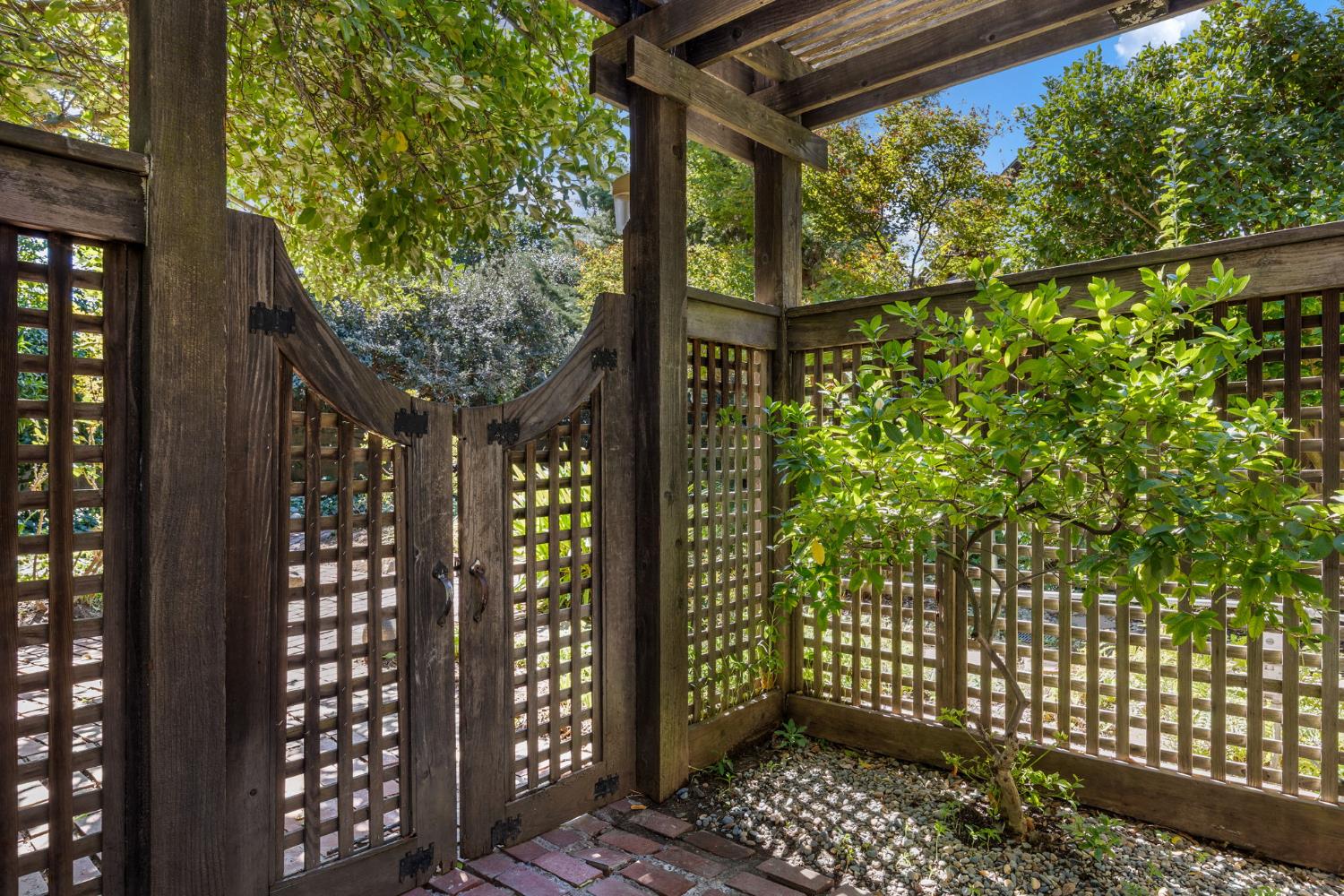 561212455_1ab5a629-5735-40ca-bb92-a136530673fd.jpg