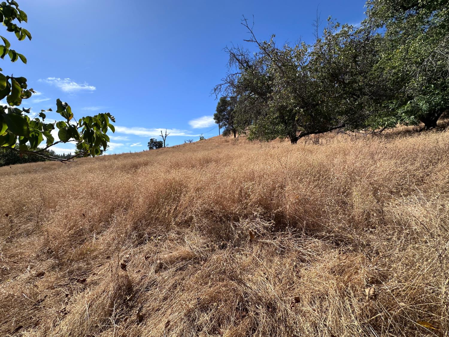 561232094_6a72b29c-c67d-49ce-83fd-b97268d6a755.jpg