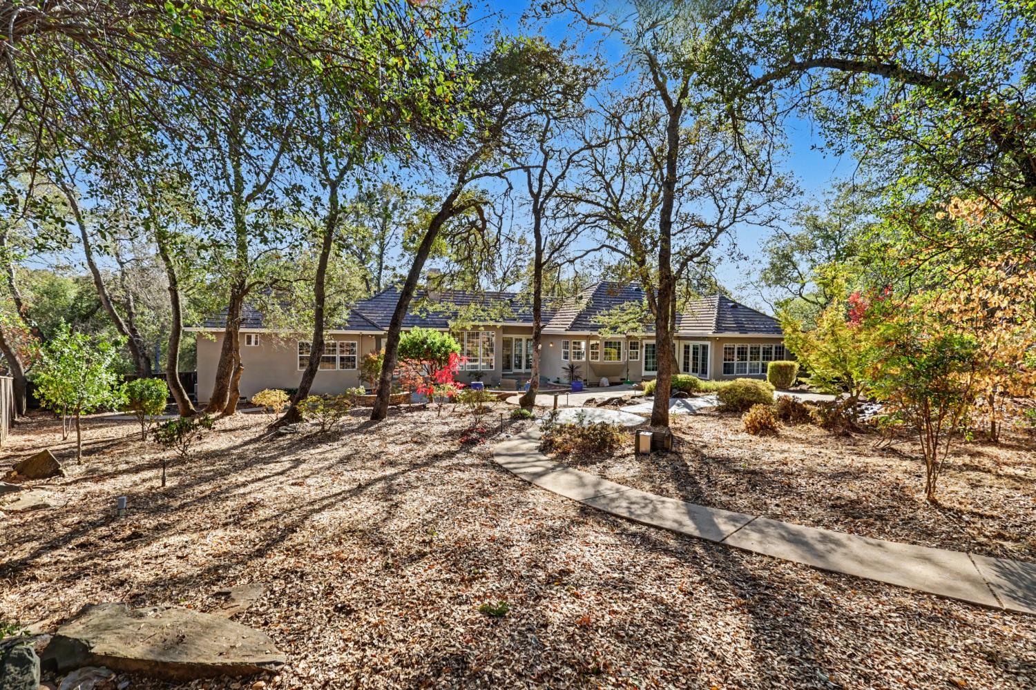 561231574_973649ac-1911-45f0-a1e2-206227800b9c.jpg