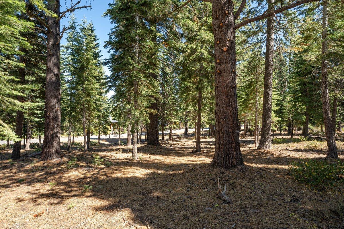 561231632_a71dcd9f-5c95-4fe0-83ed-09d8bace5123.jpg