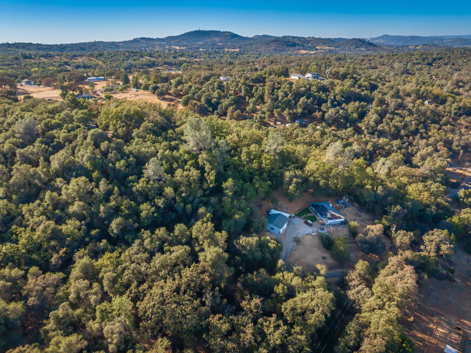 561209340_01cdde57-a8eb-438a-911e-b252028f5535.jpg