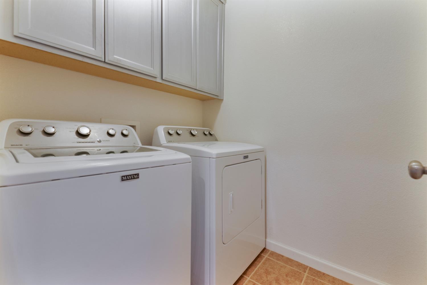 561232988_2373f206-c933-44e1-bed9-bb26ffc07f2e.jpg