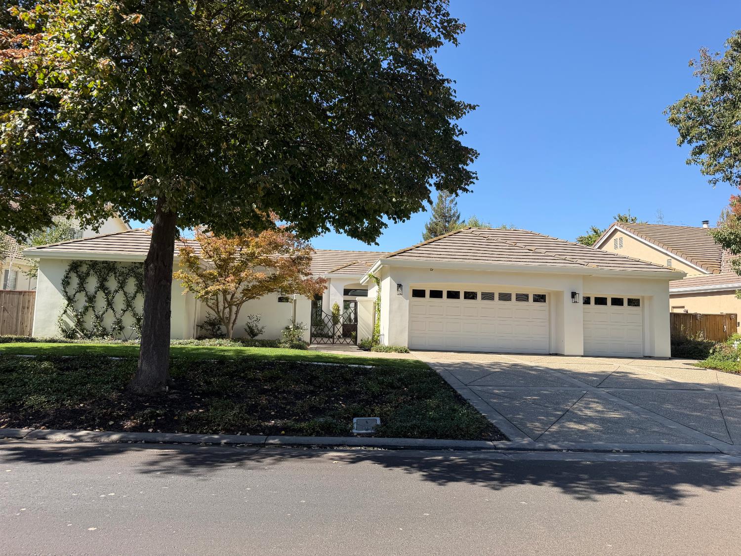 561232747_dc148cf1-72e0-4e20-9749-5e586bba74d4.jpg