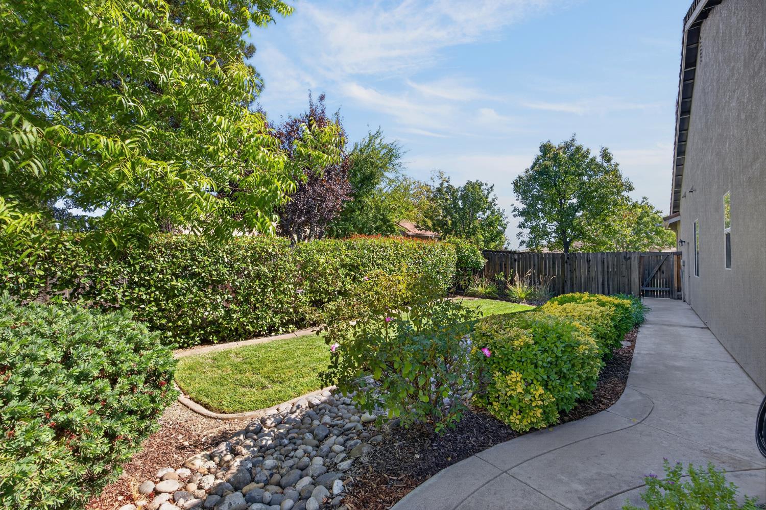 561231403_ebddd3bd-3cad-4cf1-9e5d-e311961eef94.jpg