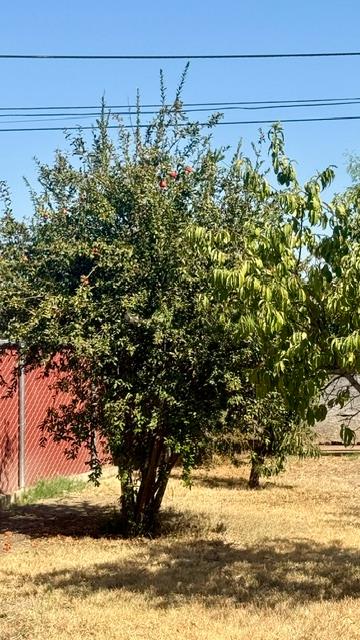 561233060_d9fc505f-34d8-4a2e-94b3-068f338b84d1.jpg
