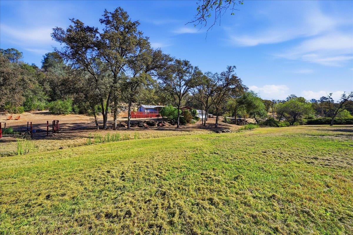 561233183_8dd377f4-79a8-496b-bb37-d4e6efa89795.jpg