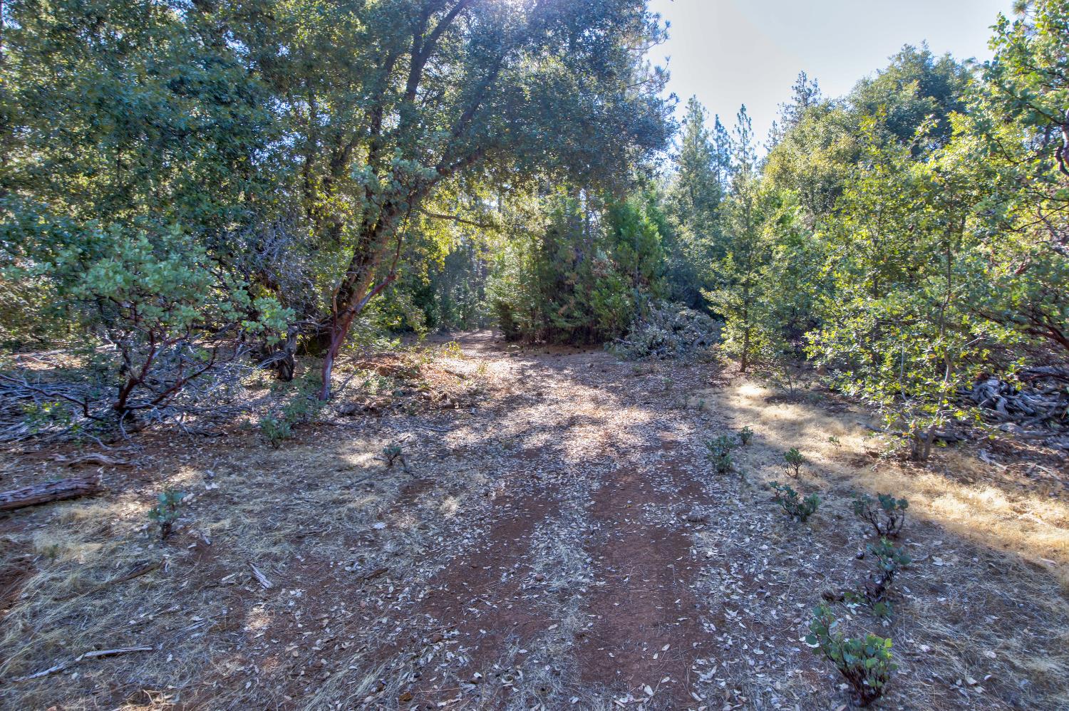 561233017_cab9a825-9107-418b-bda7-159aca3e97c8.jpg