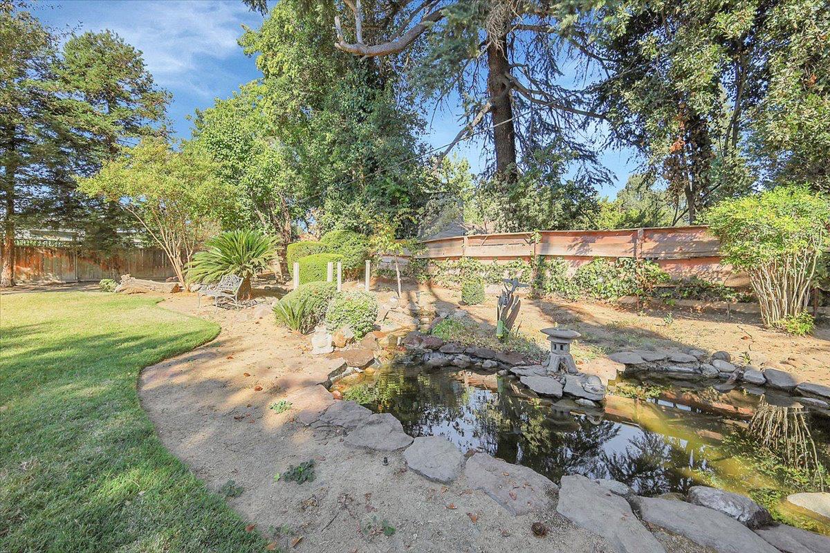 561234276_22aad950-400a-4ed7-a70a-82d4efdee2b9.jpg