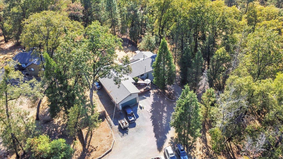 561234873_de38fe85-2331-4f7a-90e3-1b59a29dff3a.jpg