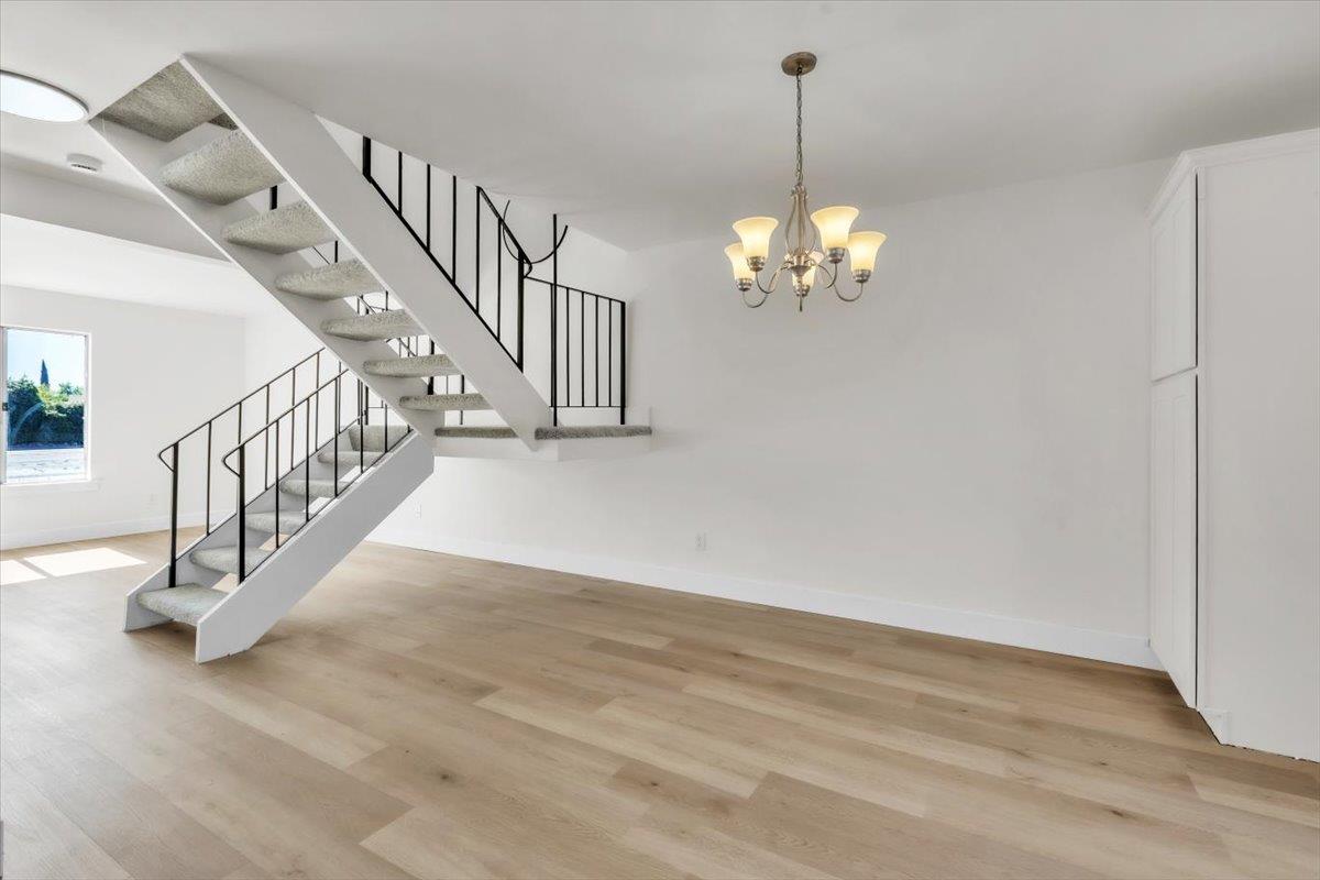 561235439_2df245a2-afc0-4d34-8909-8fdbdd180930.jpg