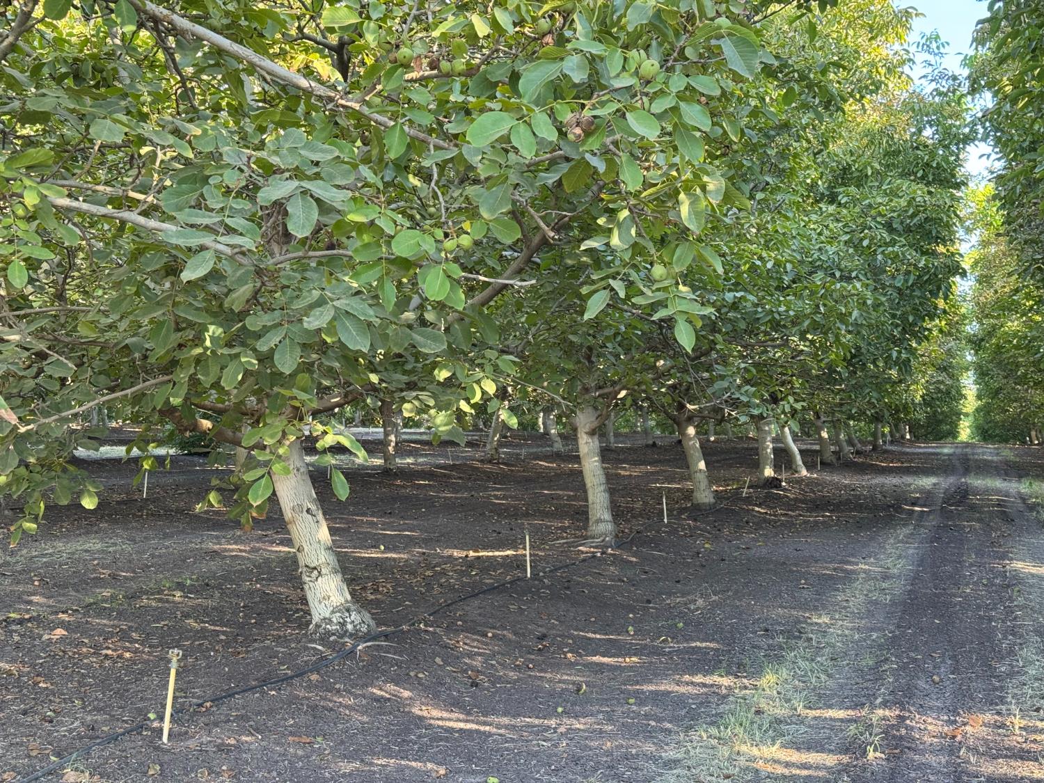 561235299_3e141520-f2d3-47cf-ac0c-20924a89203d.jpg