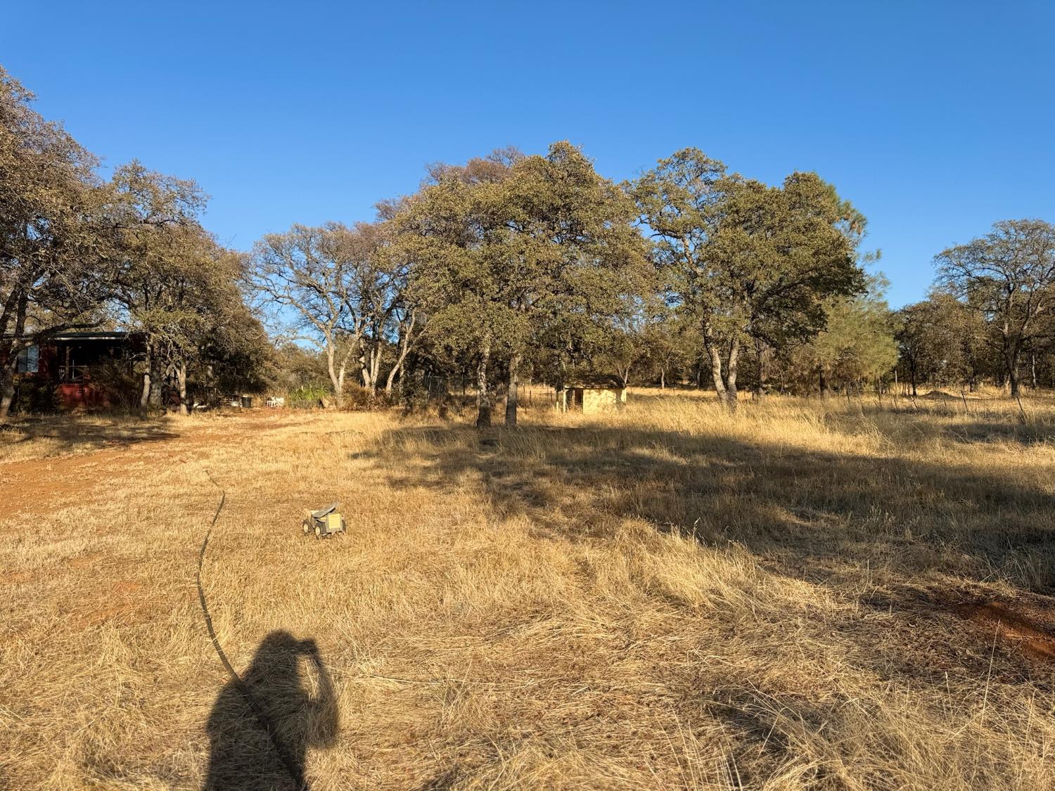 561235130_de96a53e-dc65-424e-8053-29adcb0f13b9.jpg